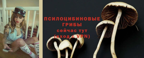 дмт Красноперекопск
