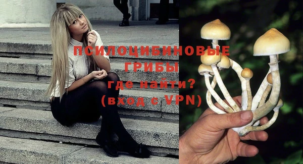 кокаин Гусь-Хрустальный