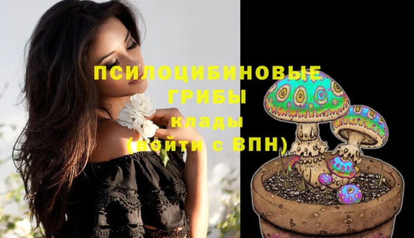 альфа пвп VHQ Гусев