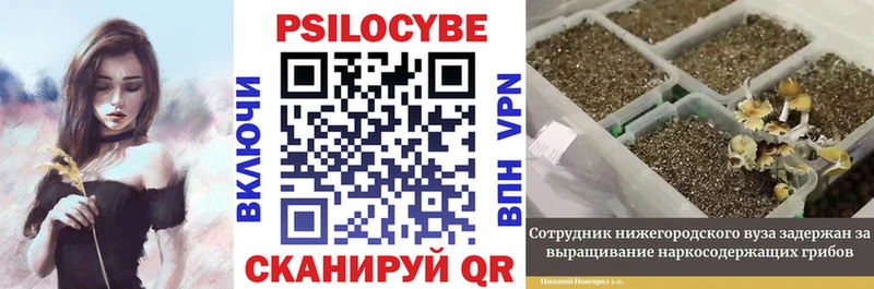 Псилоцибиновые грибы Cubensis  Правдинск 