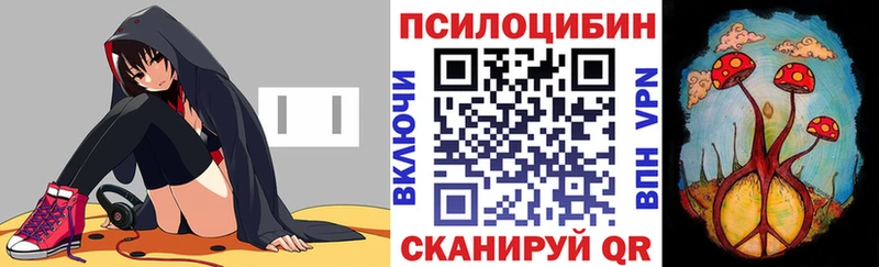 Псилоцибиновые грибы GOLDEN TEACHER Правдинск