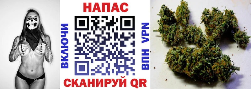 купить наркотики цена Правдинск Шишки марихуана гибрид